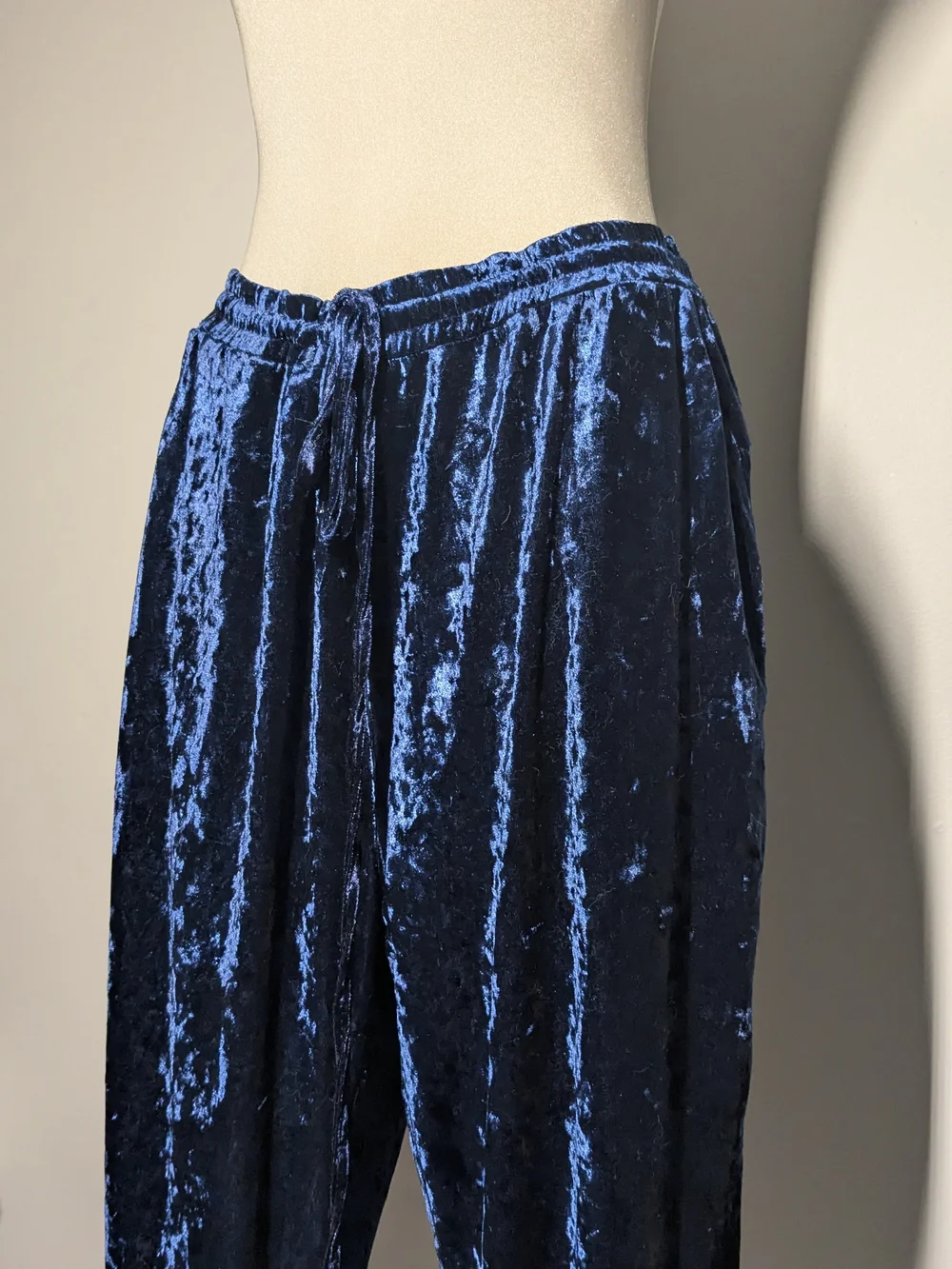C by One Shimmery Navy Crushed Velvet Pull-On Pants - Picture 7 of 16